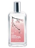 Perfume The Body Shop Japanese C. Blossom - E Toilette 50ml